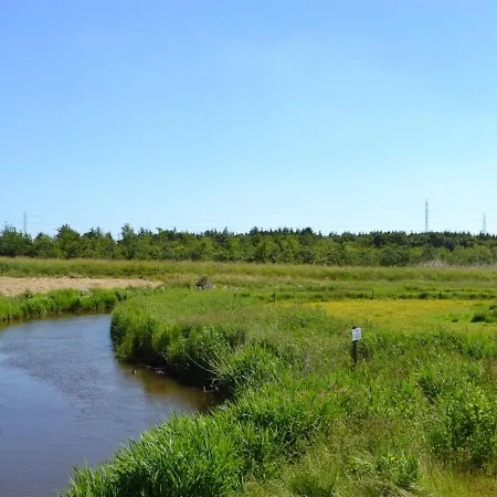 Esja - 22km From The Sea In Western Jutland By Interhome *